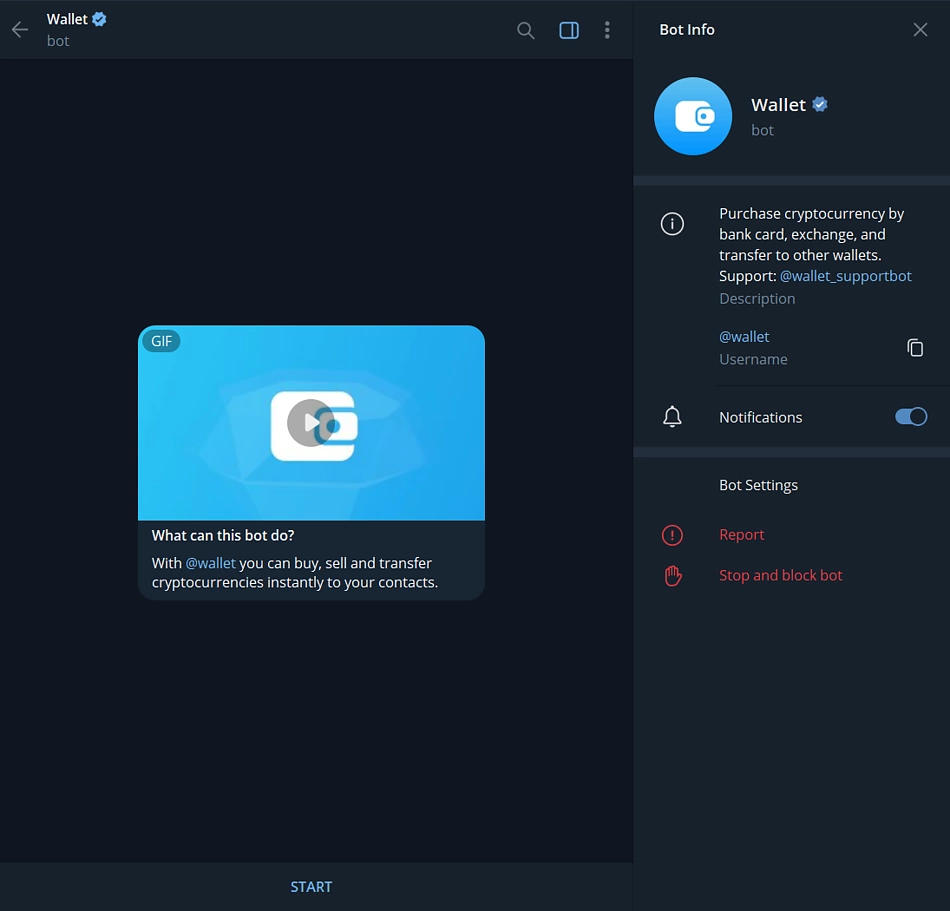 TON Wallet security setup