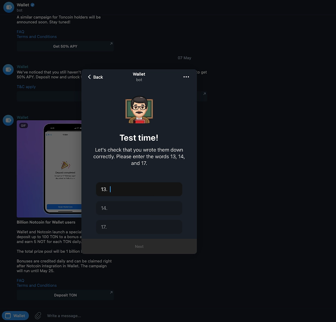 TON Wallet Telegram interface screenshot showing cross-chain USDT deposit option for seamless stablecoin swaps on TON blockchain without centralized exchanges
