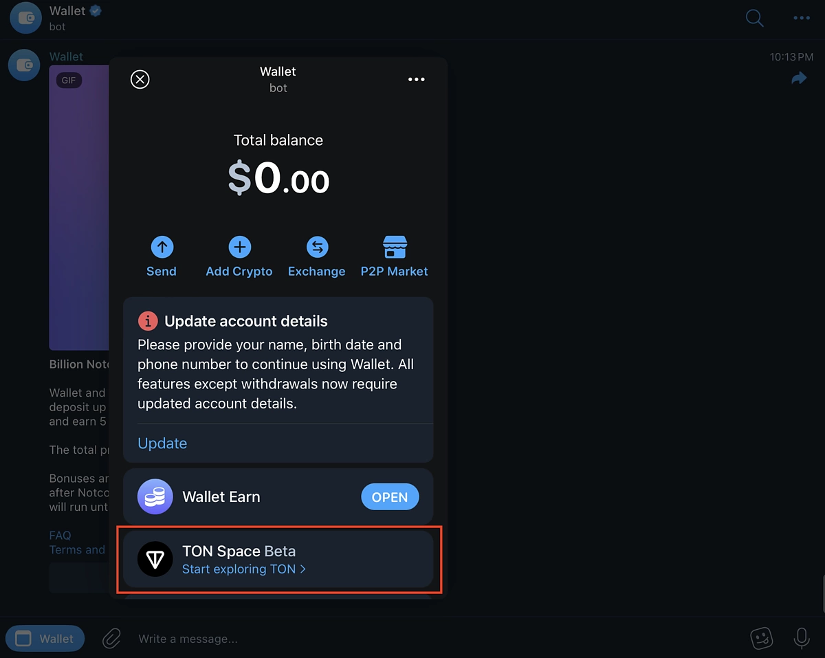 TON Wallet USDT payment feature